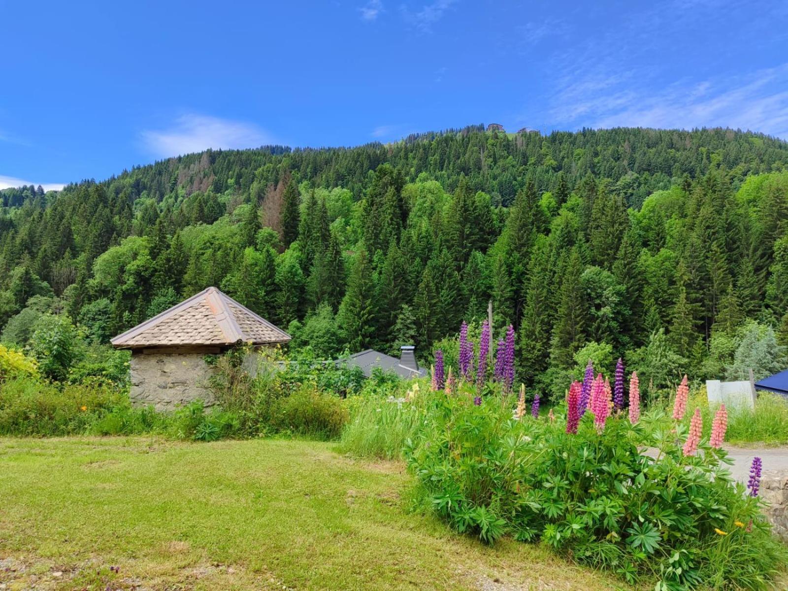 Appartement Meuble Classe 3 Etoiles De 72 M2, 2 Chambres Morzine Exteriör bild